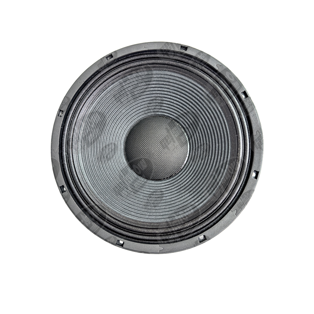 DB15-F01 15 inch Speaker  -